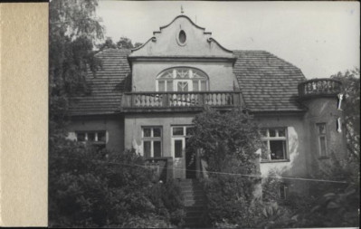 willa, skan 2