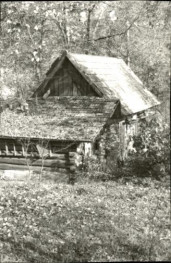 dom, skan 9