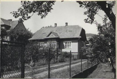 dom, skan 2