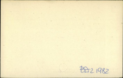 willa Zosia, skan 2