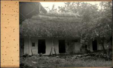 obórka w zagrodzie, skan 2