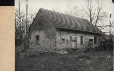 stajnia, skan 2