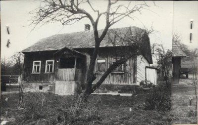 dom, skan 3