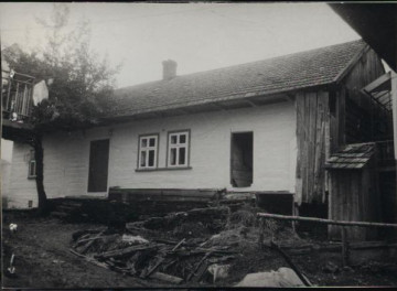 dom, skan 3