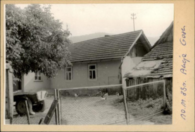dom, skan 2