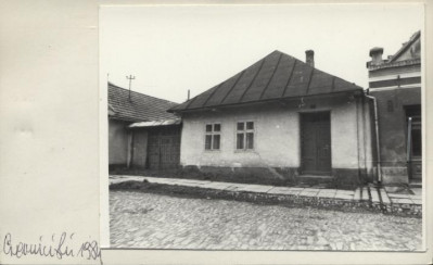 dom, skan 2
