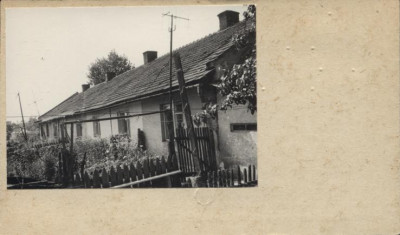 czworak, skan 2