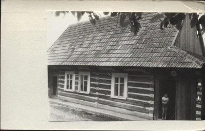 dom, skan 2