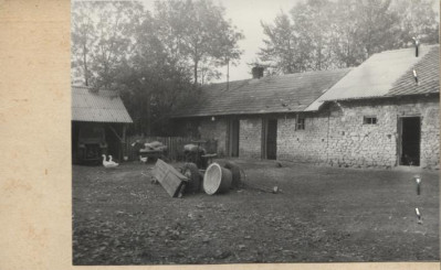 chlew w zagrodzie, skan 2