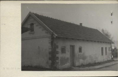 kurniki dworskie, skan 2