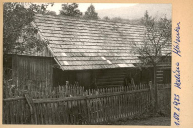 drewutnia, skan 2