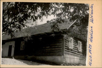 dom, skan 2