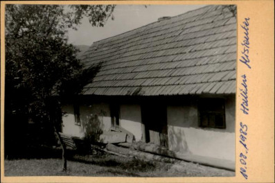 dom, skan 2