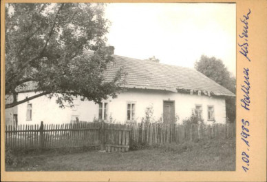 dom, skan 2