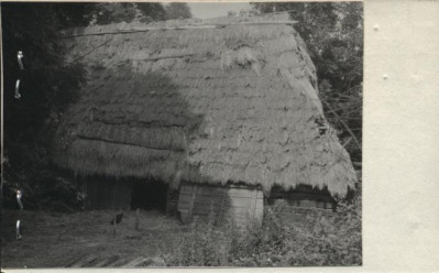 stodoła, skan 2