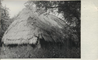 stodoła, skan 2