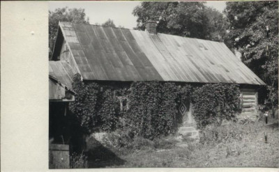 dom, skan 2
