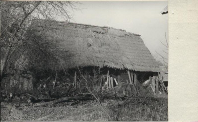 stodoła, skan 2