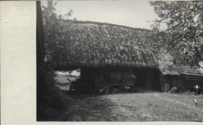 stodoła, skan 2