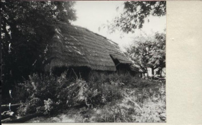 stodoła, skan 2