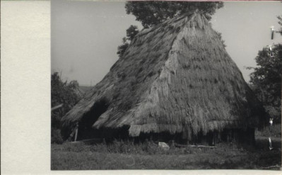 stodoła, skan 2