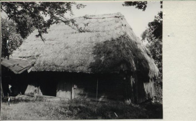 stodoła, skan 2