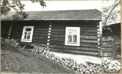 dom, skan 2