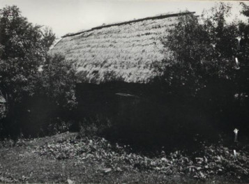 stodoła, skan 2