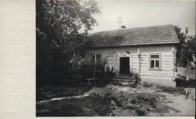 dom, skan 2