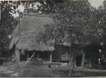 stodoła, skan 2