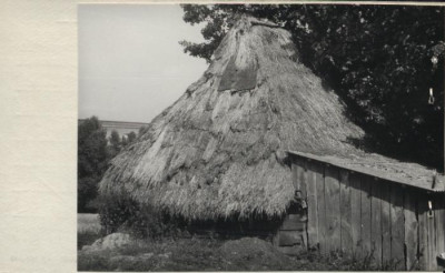 stodoła, skan 2