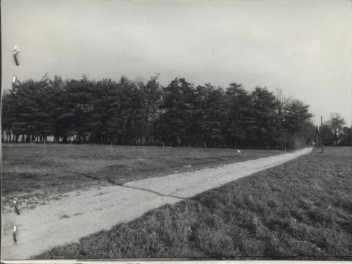 zespół dworski, ob. zagrody nr - 54, 55, 56, skan 2