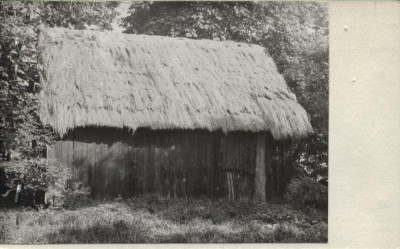 stodoła, skan 2