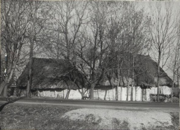 zagroda - dom, obórka, stodoła, skan 2
