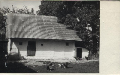 obórka, skan 2