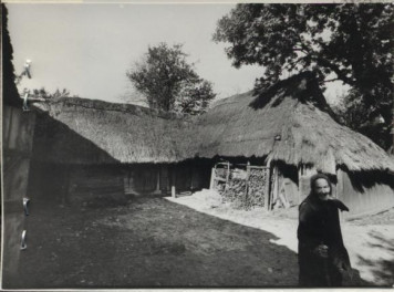 obórka, skan 3