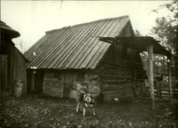 stajnia, skan 3