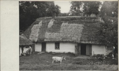 dom w zagrodzie, skan 2