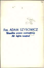 dom, skan 12
