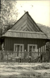dom, skan 7