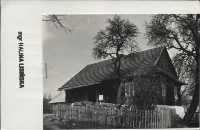 dom, skan 2