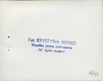 willa Kazimierz, skan 15