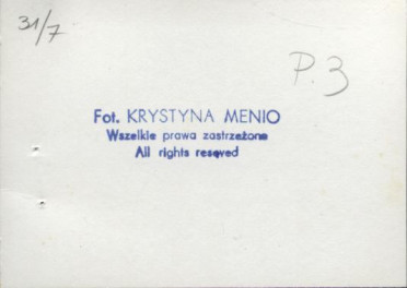 willa Scholastyka, skan 10
