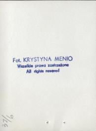 willa, skan 6