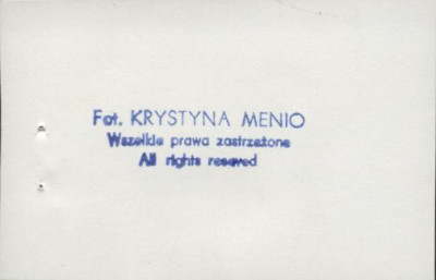 willa Dewajtis, skan 6