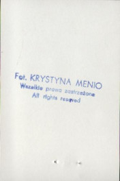 willa (Słonianka), skan 6