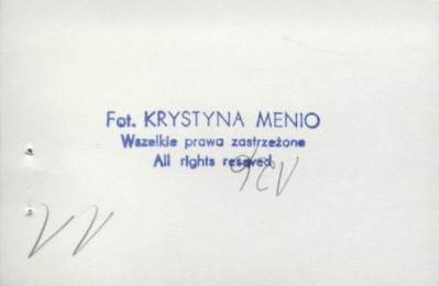 willa, skan 6
