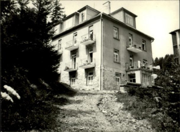 willa, skan 2