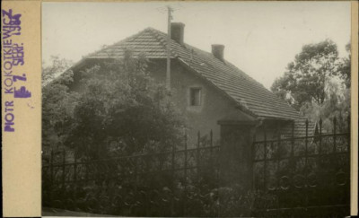 dom, skan 2