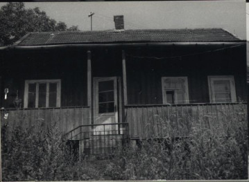 dom, skan 2